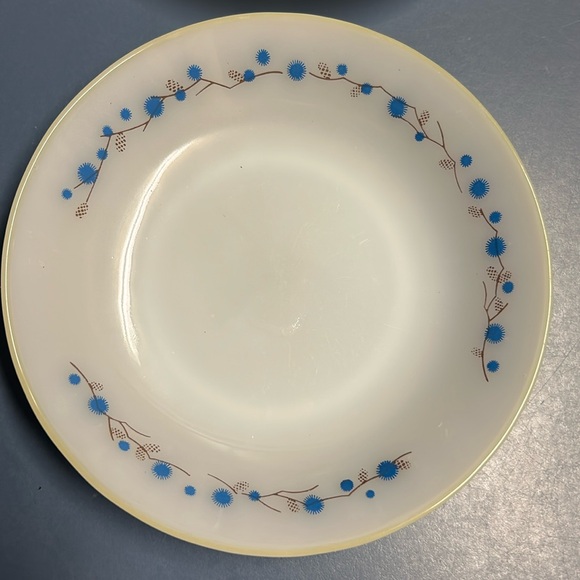 Termocrisa Other - Termocrisa vintage milk glass soup/salad bowl. White with blue and brown floral